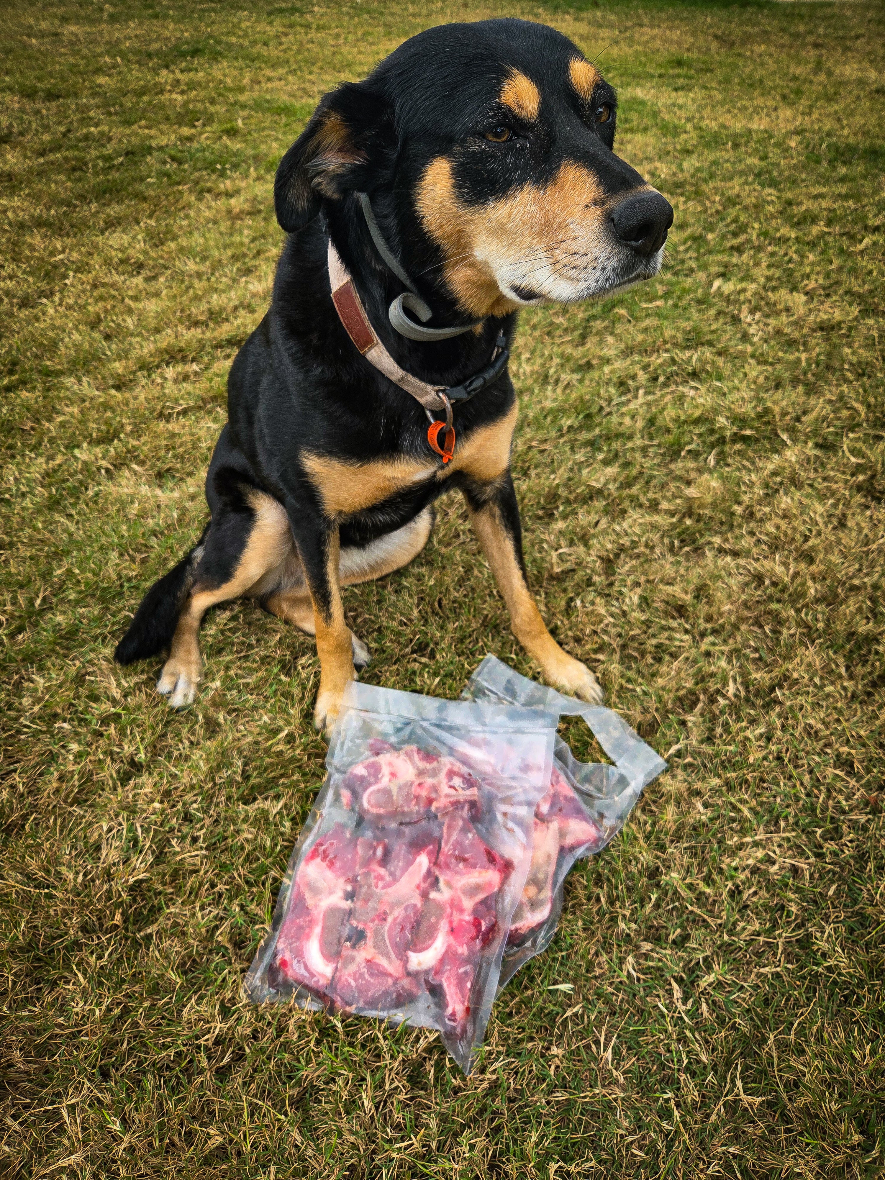 Dog Bones